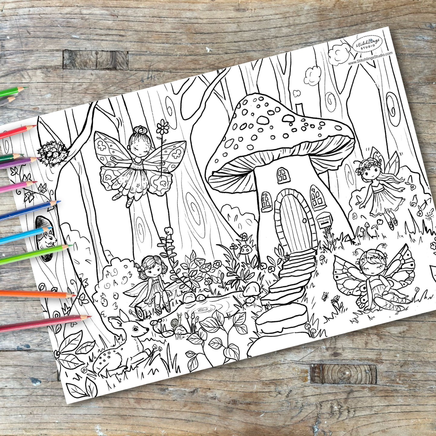Colour In - Woodland Fairies